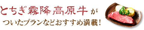 とちぎ霜降高原牛がついたプランなどおすすめ満載！